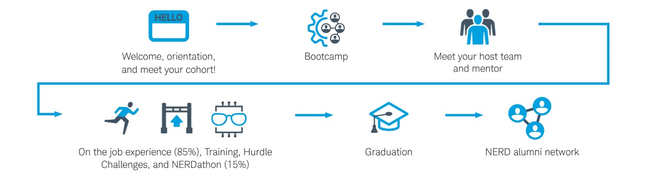 An infographic showing the 9 month journey timeline of the NERD program.